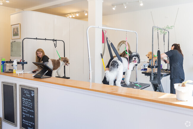 Primp My Paws in Dobbs Ferry is a full service pet grooming salon.