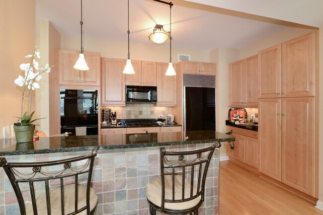 52 W Elm St unit 3501, Chicago, IL 60610 - photo 3