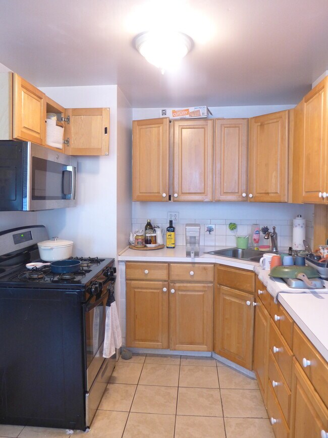 1564 Tremont St unit 1, Roxbury Crossing, MA 02120 - photo 5