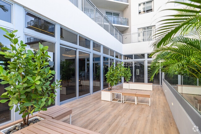 Zen Meditation Garden