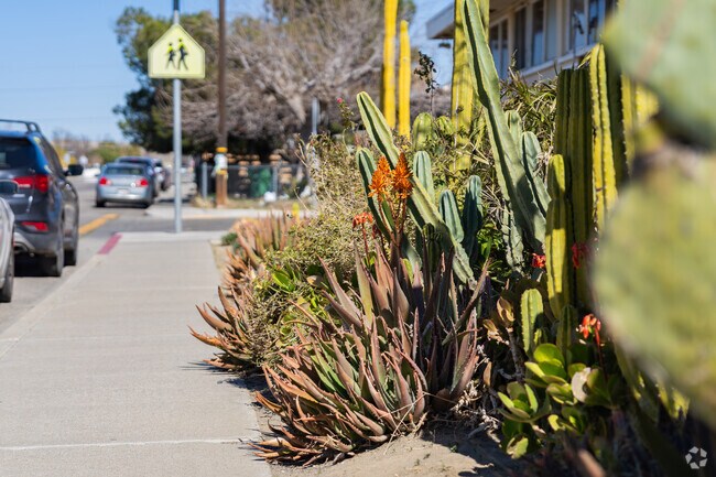 Avenal landscaping includes succulents and cacti that thrive in the region.