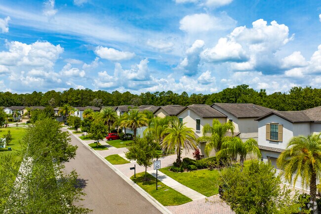 A row of split level stucco homes sit among the tropical palms in Live Oak Preserve.