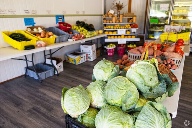 Fresh produce available at Creek Hill Market near Susquehanna Trails.