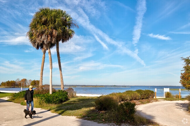 A dog walker catching some rays along Lakeshore Park.