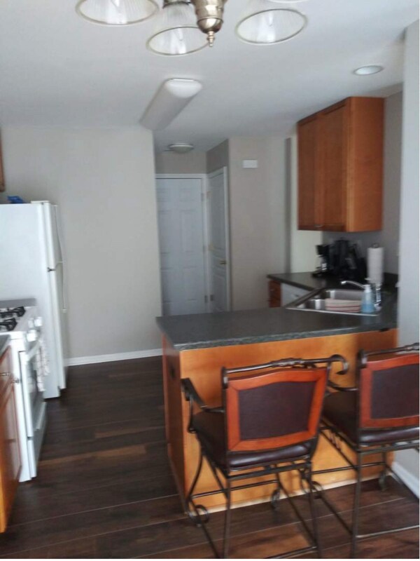 481 Metropolitan St, Aurora, IL 60502 - photo 5