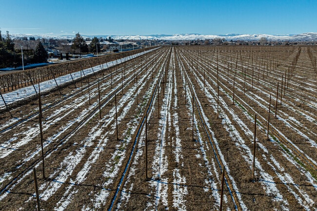 Agriculture is at the center of life in Yakima.