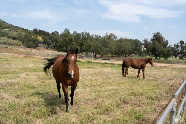 Farm homes with horse ranches can be found near Walnut Grove Equestrian Park.