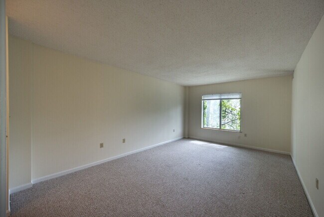 454 Green St unit 307, Cambridge, MA 02139 - photo 2