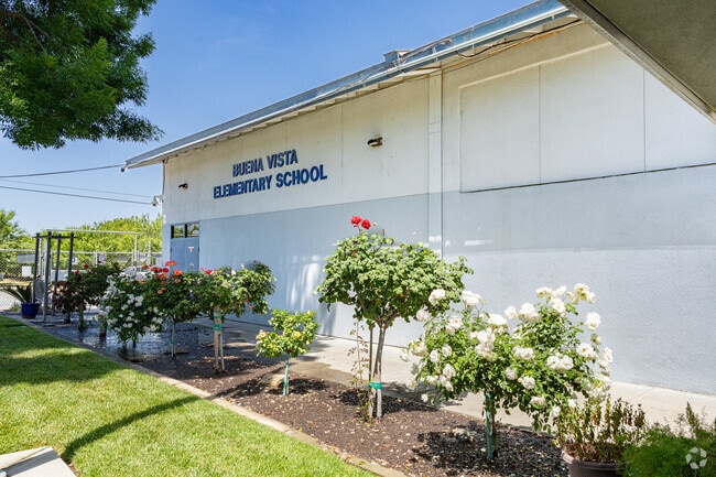 Beautiful roses grow outside the entrance to Buena Vista Elementary School.