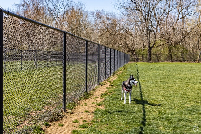 Ballenger Creek Dog Park has plenty of space for pups of all sizes.