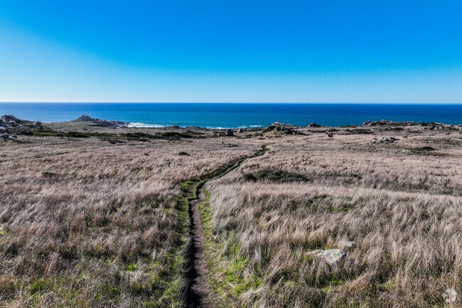 Salt Point State Park has trails straight to the ocean in Santa Rosa.