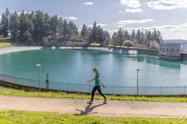 Historic Mt Tabor Park offers beautiful vistas, hugr Doug Fir trees and hiking trails.