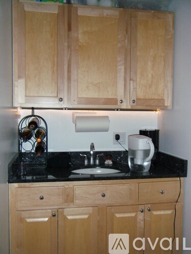 1728 N Hermitage Ave unit 1st, Chicago, IL 60622 - photo 4