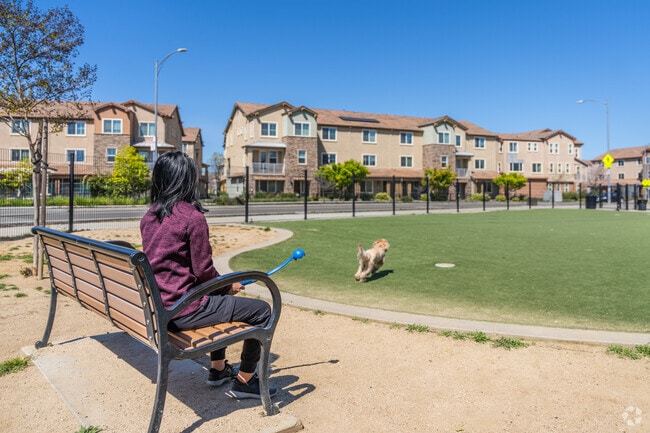 Raleigh Linear Park has an enclosed area to allow your dog to run and play.