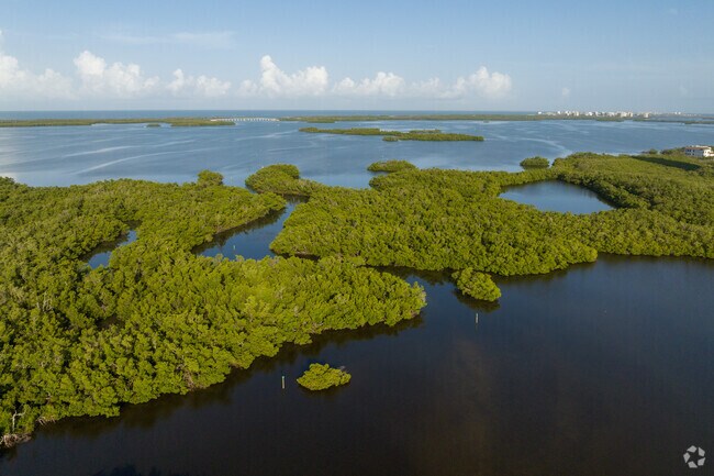 Just west of Spring Creek Village are miles of protected mangrove forests and waterways.