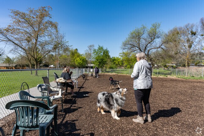 Montecito Heights pet socialization happens down Montecito Avenue at the Rincon Valley Community Dog Park.