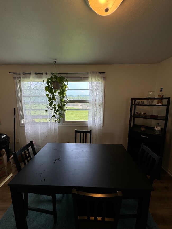 119 Honness Ln unit A, Ithaca, NY 14850 - photo 6