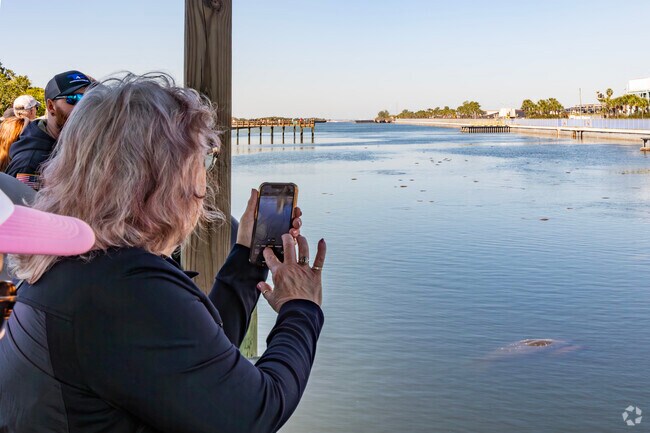 A visit to Apollo Beach, near Gibsonton, almost isn't complete without a stop at the Manatee Viewing Center.