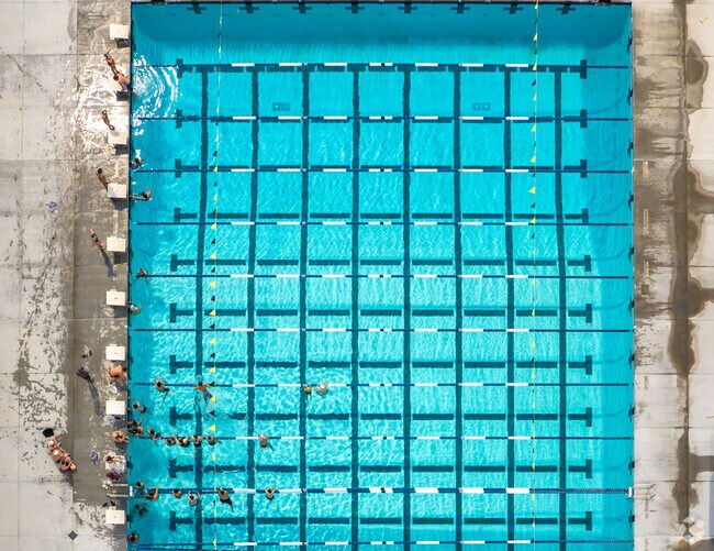 Swimming practice at Silverado High