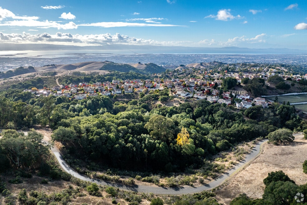 CP_Hayward_1001826_P2_FINAL_AS_081525