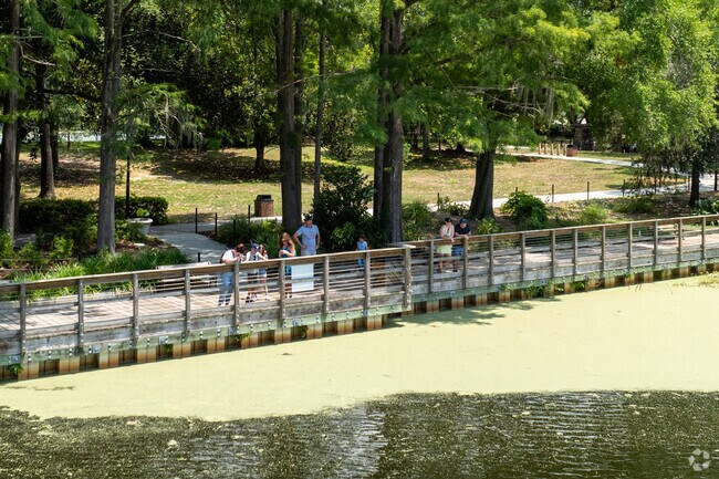 Visitors search for alligators at Greenfield Park.