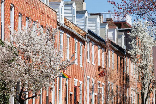 Many streets in Sharp-Leadenhall are lined with flowering trees.