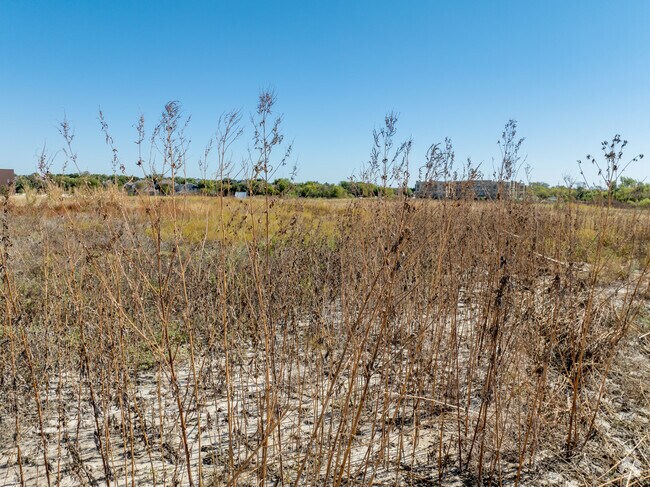 Residents contend with seasonal droughts in Plfugerville.