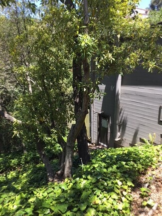 58 Roble Rd Unit Detached Cottage, Berkeley, CA 94705