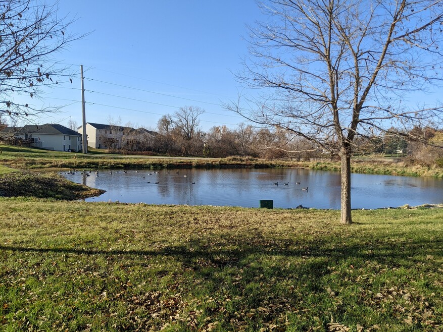 Goldfinch Meadows