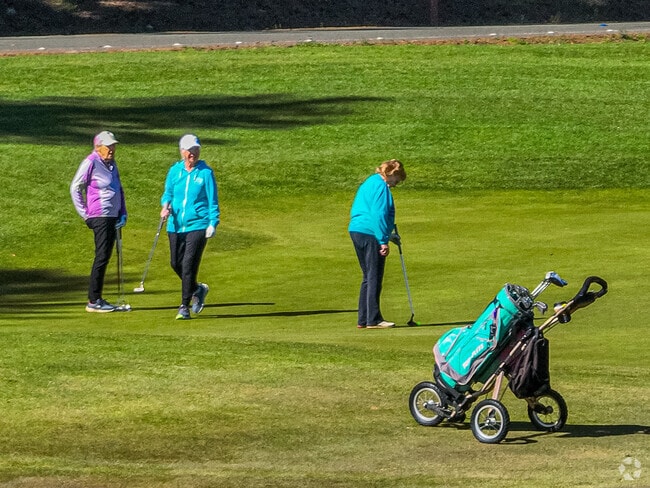 Tapps Island Golf Course in Lake Tapps is a serene place to practice your swing.