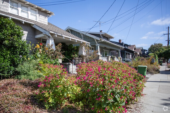 The sidewalks and streets of Shafter are beautiful to walk through with all the amazing gardens.