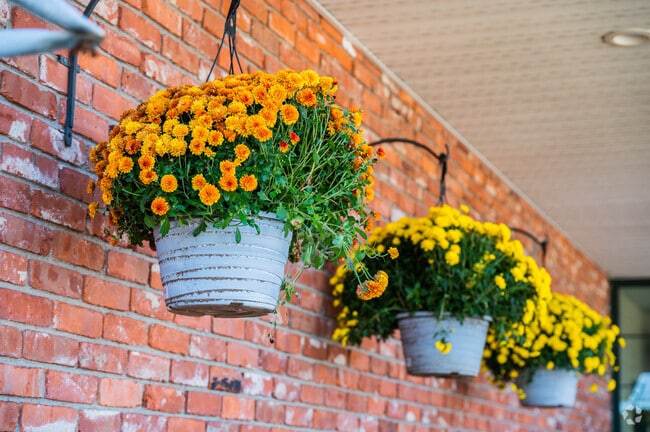 Stop by Dave’s Marketplace in Conimicut-Shawomet for fresh floral arrangements year-round.