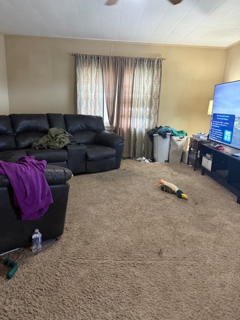 3021 W State St, Olean, NY 14760 - photo 4