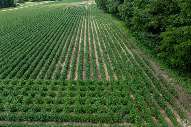 Most of Belvoir is made up of farmland and wide-open rural landscapes.