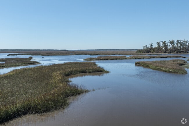 Oak Grove IslandOak Grove Island Plantation is surrounded by gorgeous golden marshes. Plantation