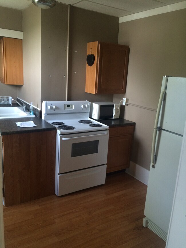 316 Cobun Ave unit 2, Morgantown, WV 26501 - photo 5