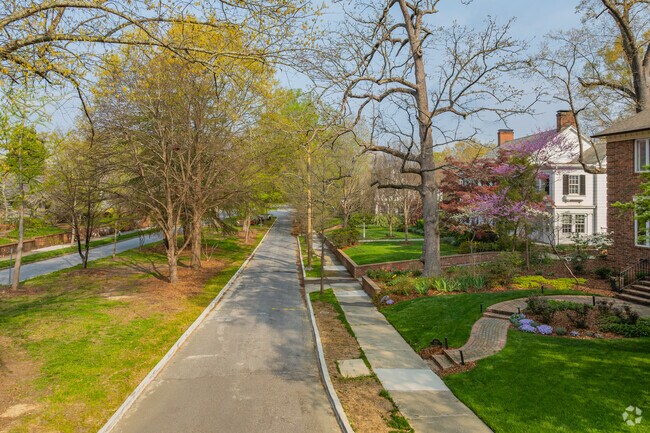 Fisher Park streets are beautifully tree-lined and manicured, with sidewalks and barrier walls.