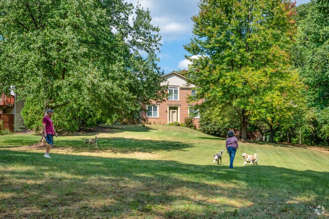 Discover the perfect grassy oasis near Small Ship Park in Kingstowne.