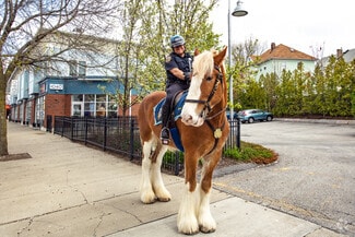 Lower South Providence