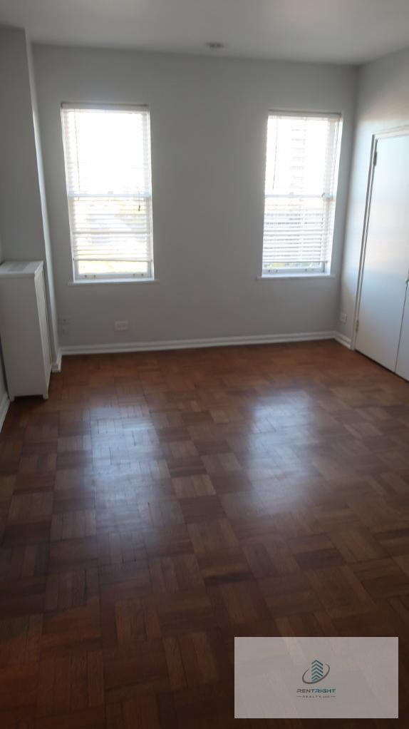 534 W Stratford Place unit 1105, Chicago, IL 60657 - photo 3