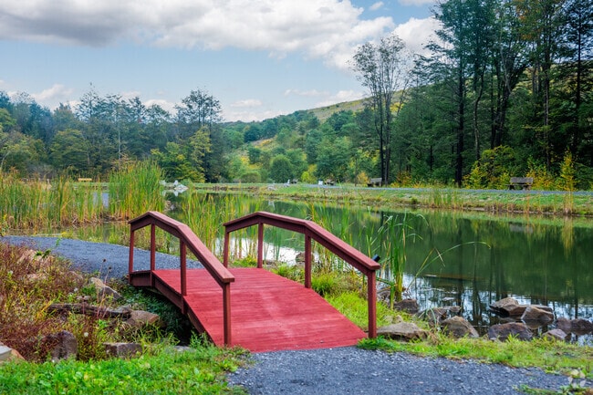 There are many parks with beautiful arrangements in Jackson.
