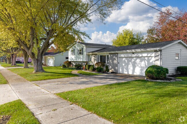 Some streets have old growth oak trees in Mount Vernon Park.