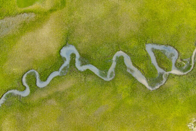 Carolina Forest enjoys a mild coastal climate with warm summers and mild winters.