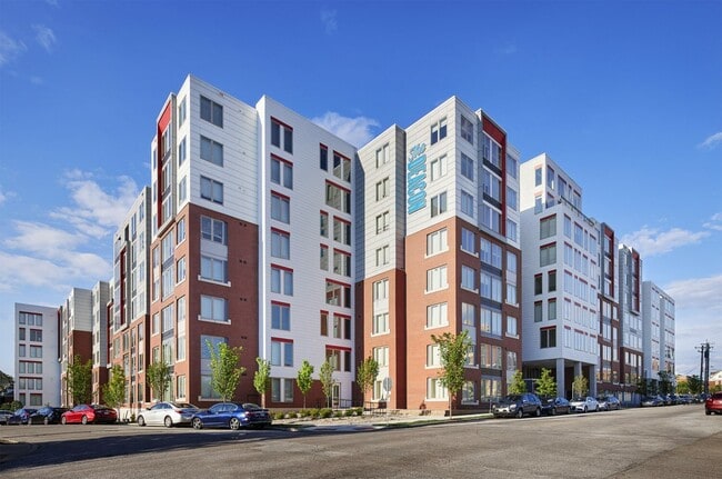 Cincy Deacon Photo_data