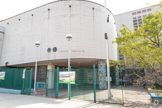 P.S. 37 - Multiple Intelligence School