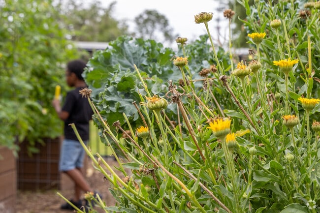 Kids can join an after-school gardening class in Duval and Eagle Eyes.