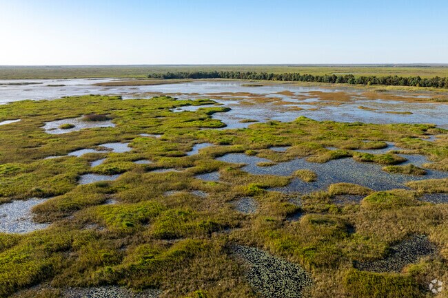 Bird and wildlife enthusiests will enjoy the various species at Lacassine Pool near Hayes.