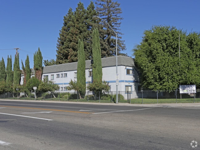 Primary Photo