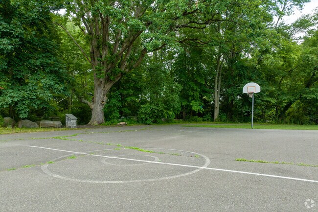 The basketball court at Chatfield Park in Seymour is a local favorite.