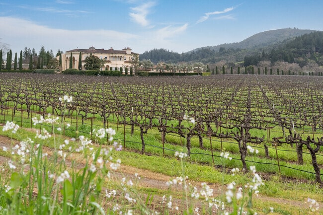 Wine country attractions near Cloverdale include Ferrari-Carano Winery and Vineyard.